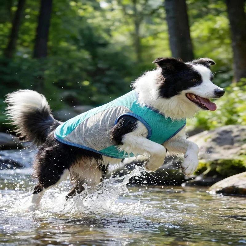 Reflective Cooling Dog Vest